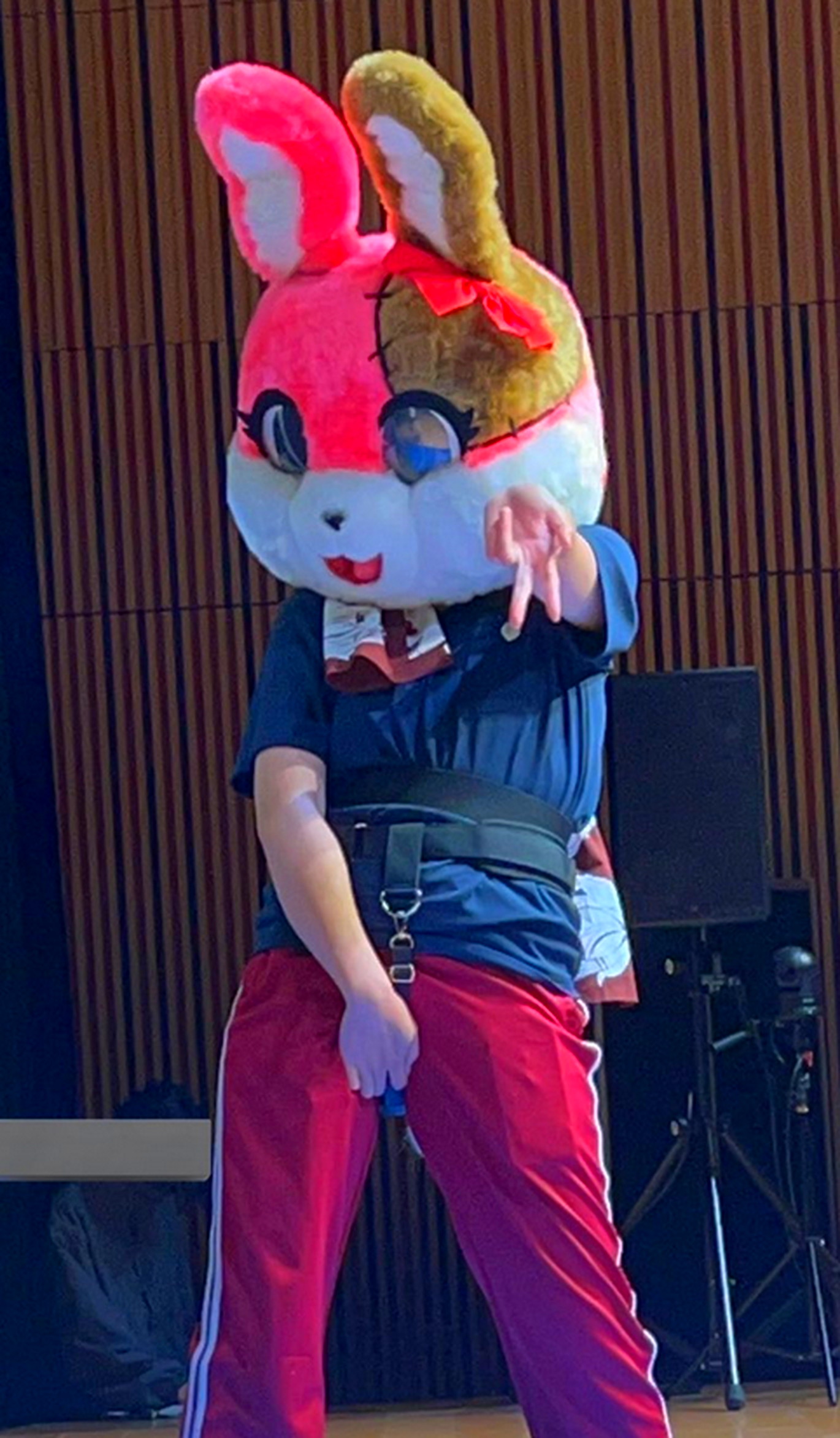 深層組 従井ノラ X