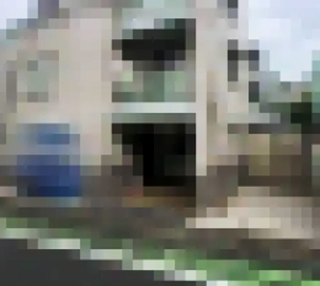 鈴木内藤沙月 集英社オンライン